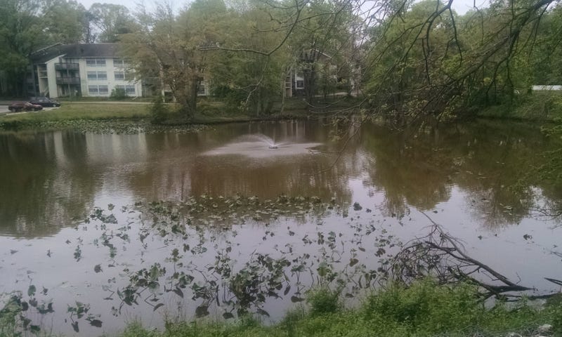 Lakeview Apartments in Blackwood, N.J., where 59-year-old Carol Reiff lived before she disappeared.