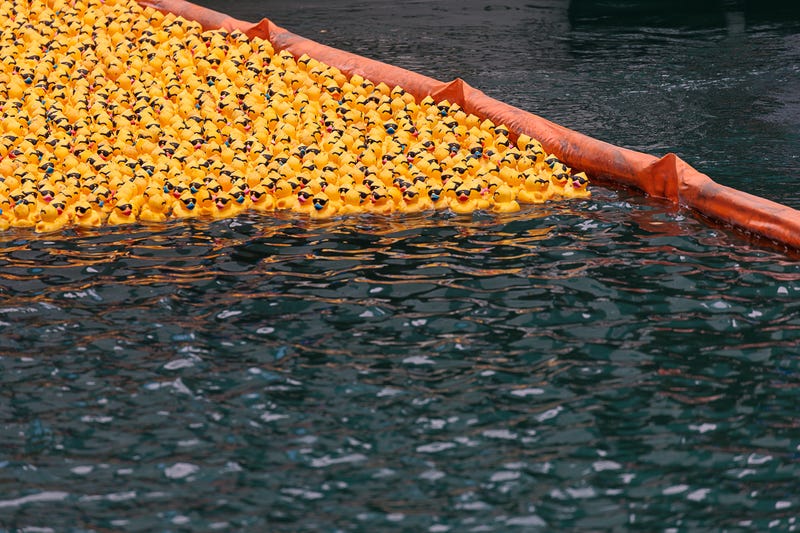 Chicago Duck Derby