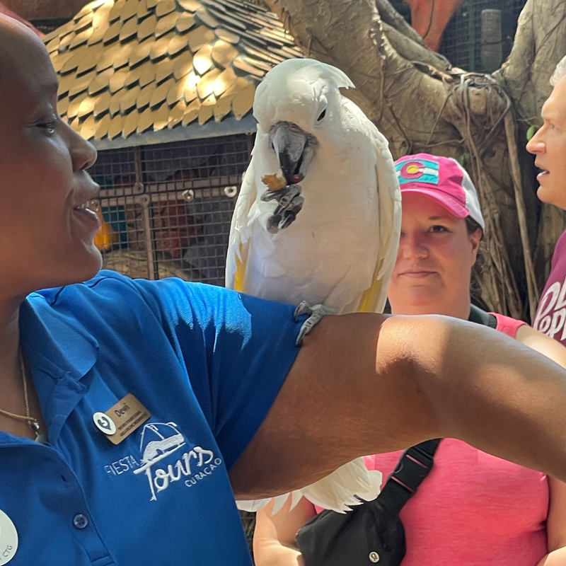 Coop's Adventures at Sandals® Royal Curaçao