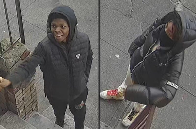 Police are searching for two suspects in a pair of robberies in Ocean Hill on Jan. 6