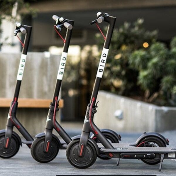 Bird e-scooters in San Jose.