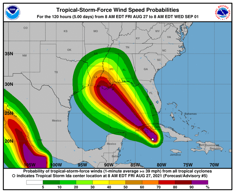 Tropical Storm Ida