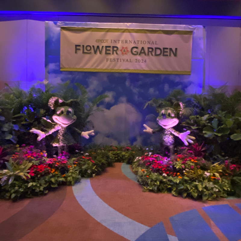 Coop's Adventures at Walt Disney World Resort
