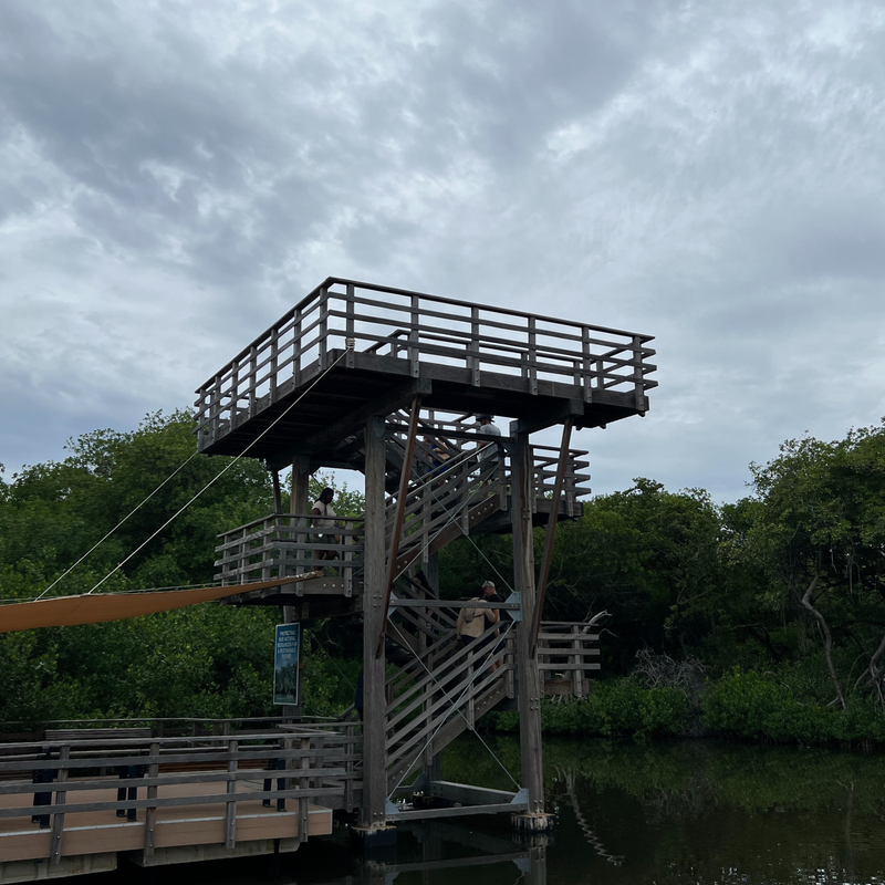 Coop's vacation #LIVEFromSandals at Sandals® Royal Curaçao