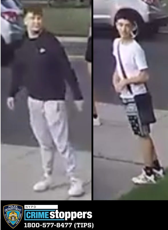 Duo seen tearing down Pride flag at Queens residence sought