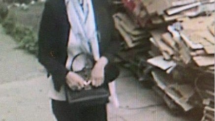NEW PHOTO: Woman sought in purse theft scheme on Brooklyn street