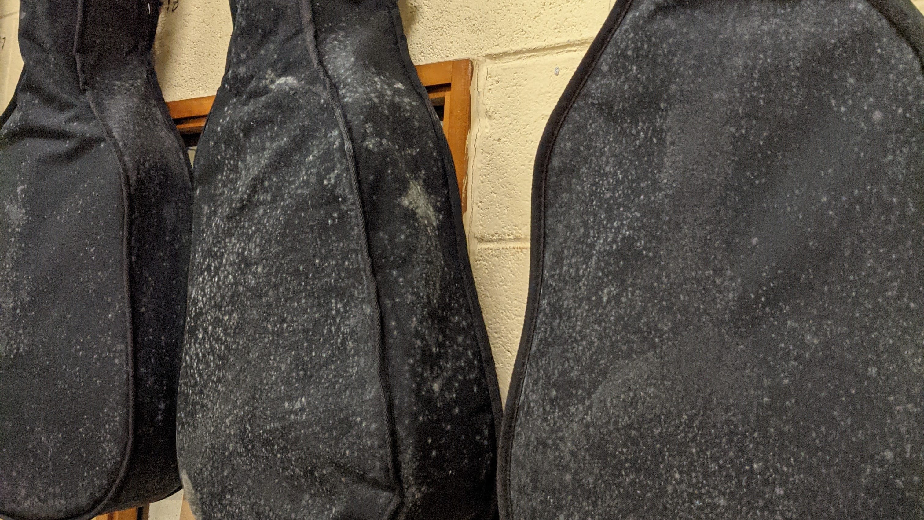 'Mold growth everywhere': Philly teachers union denied access to inspect mold report