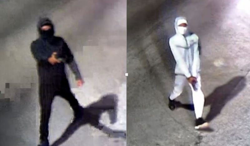 Police say these two males fired on 70-year-old Yvonne Ruzich early Monday, killing her in the Hegewisch neighborhood.