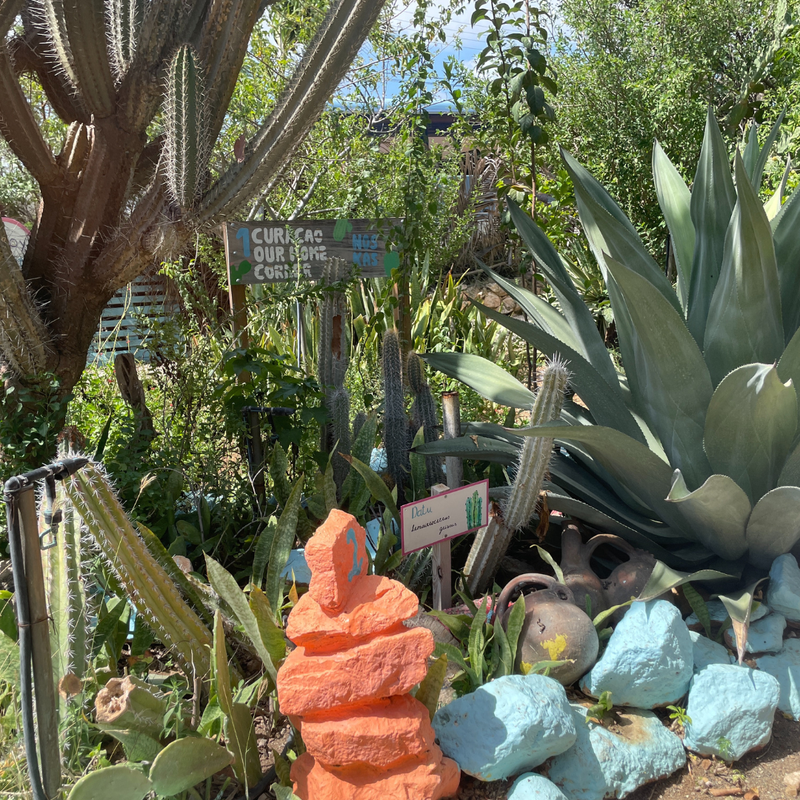 Coop's Adventures at Sandals® Royal Curaçao