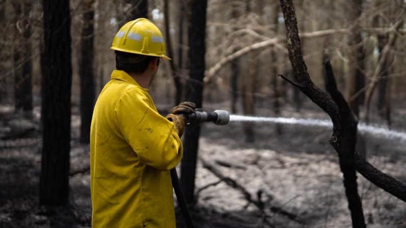 Outdoor fires banned in South Jersey as state battles forest fires
