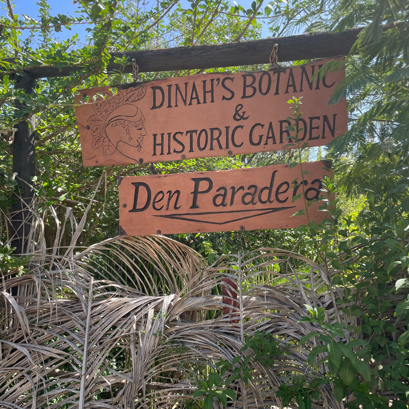 Coop's Adventures at Sandals® Royal Curaçao