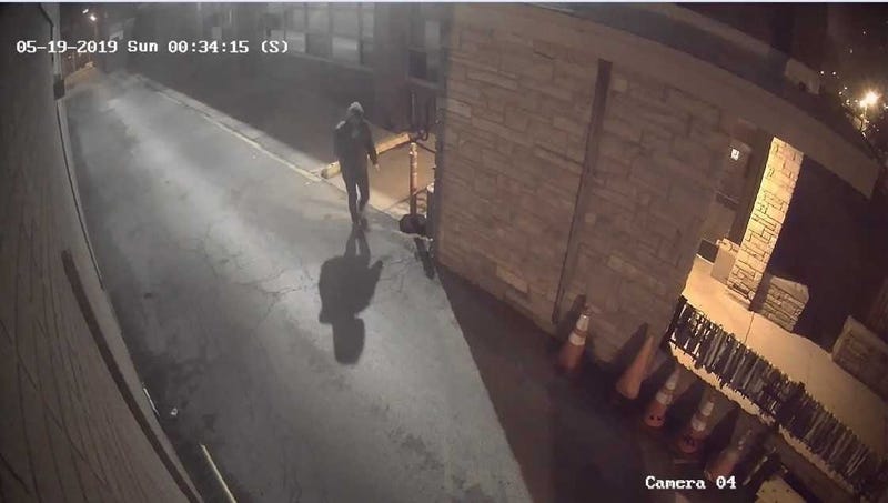 Lakeview synagogue arson suspect