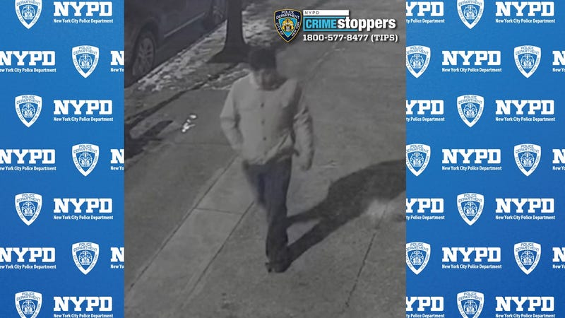 suspect photo