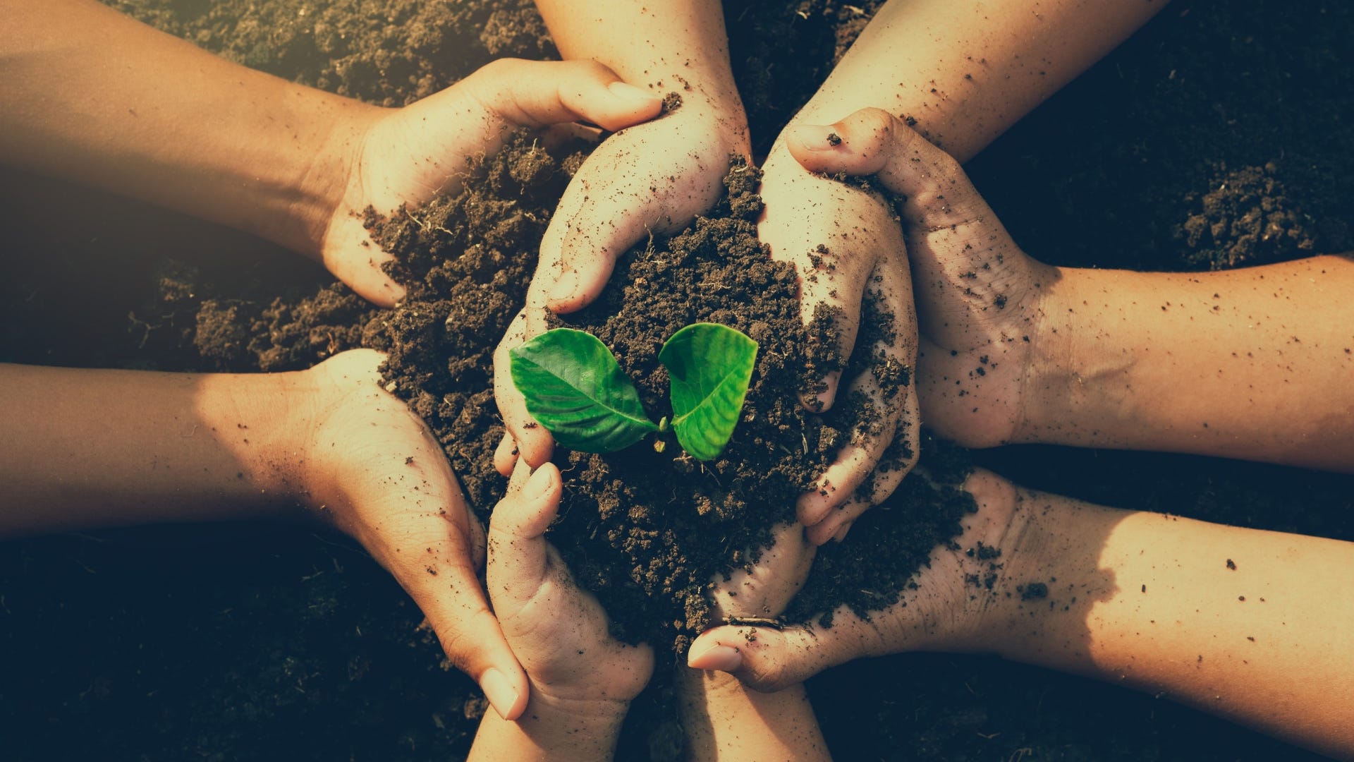1Thing: Environmentally friendly resources in your area and beyond