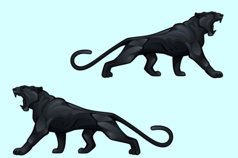 Black Pumas