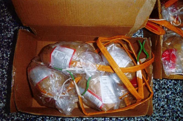 Among the illegal possessions recovered from Christopher Giancola's Long Island home on Thursday.