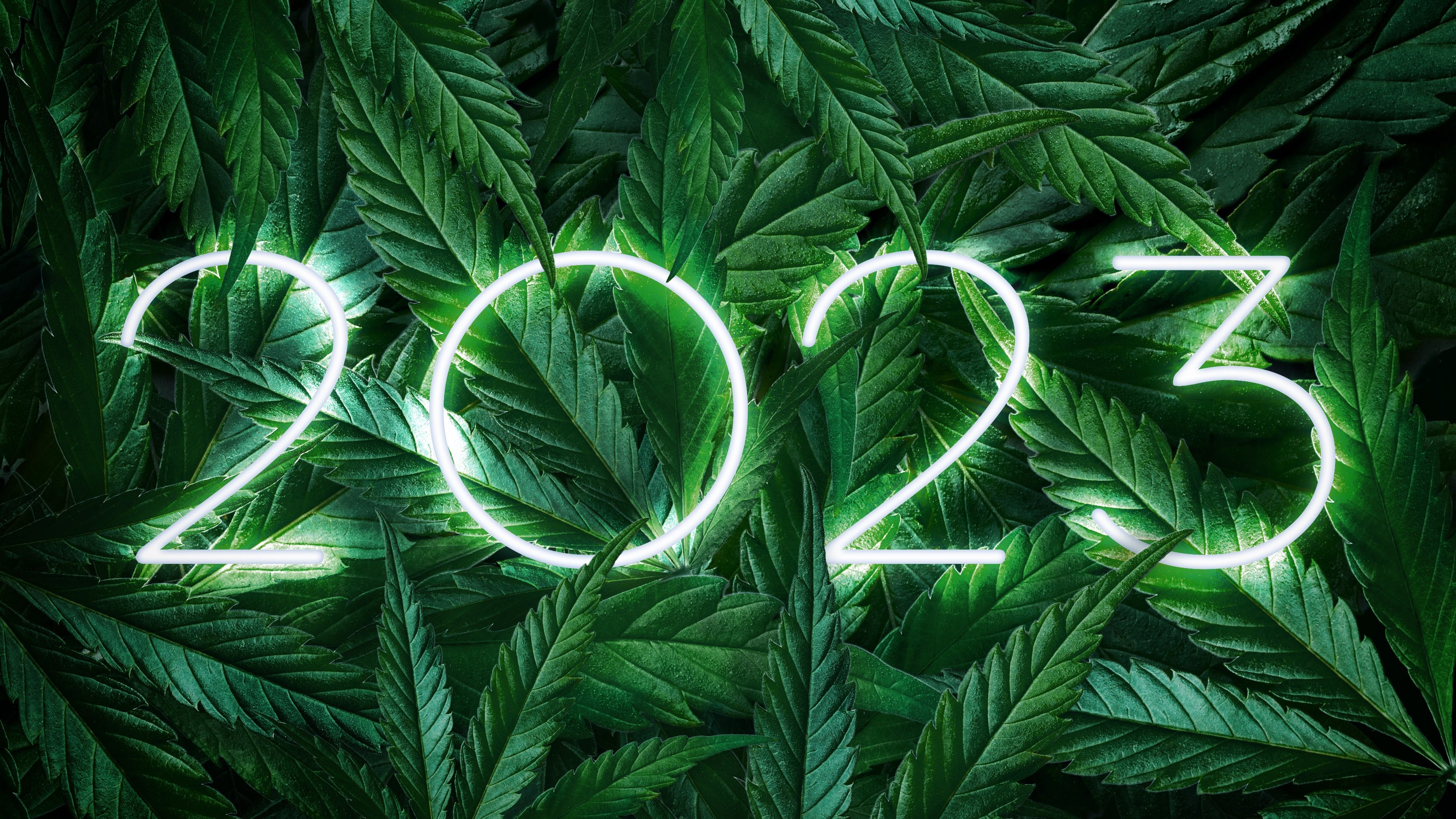 Today is ‘4/20’ – wink, wink – but where does that expression come from?