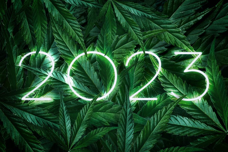 cannabis and year 2023