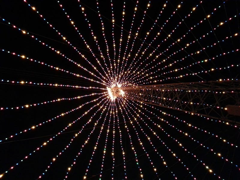 ZILKER CHRISTMAS TREE