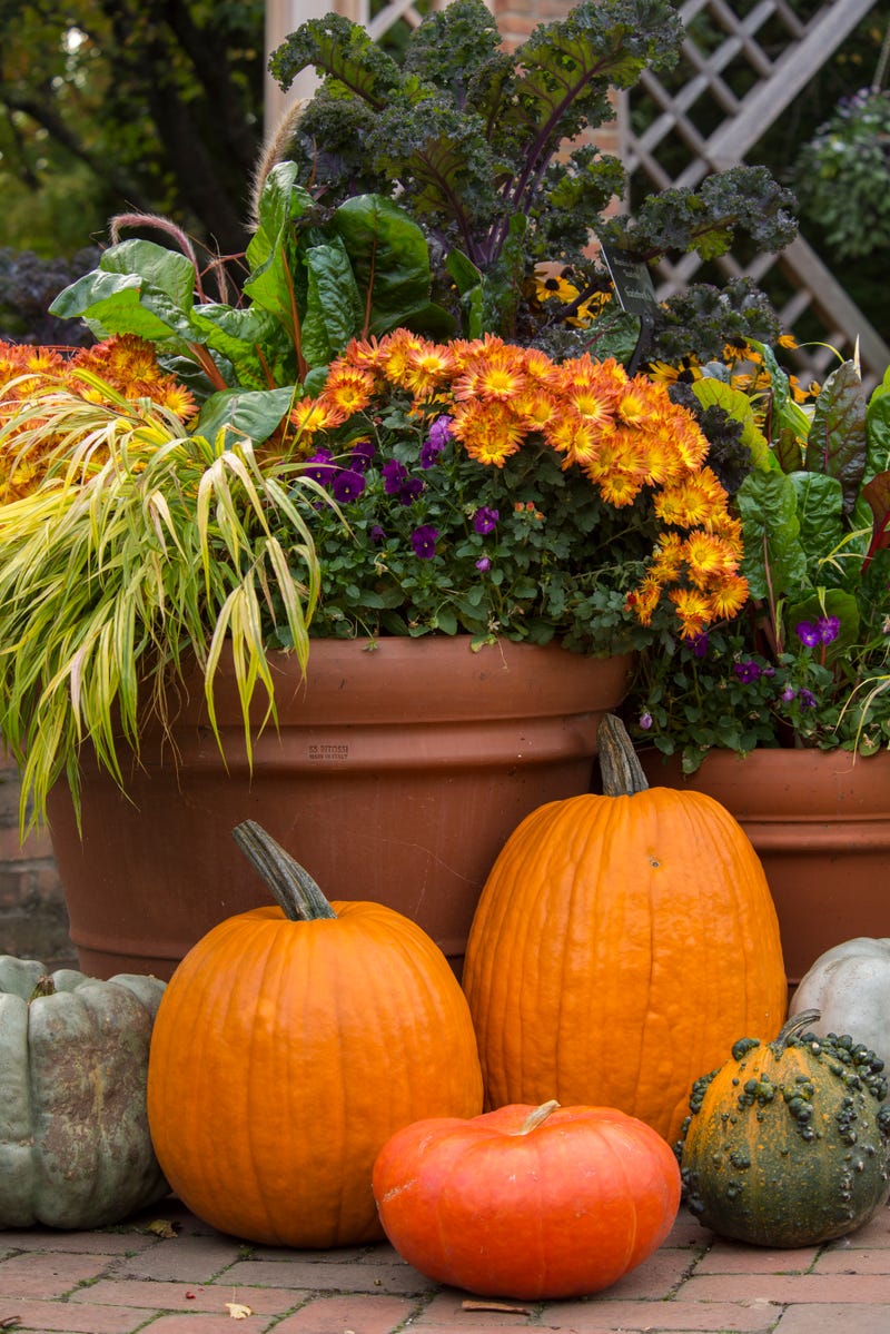 gourds