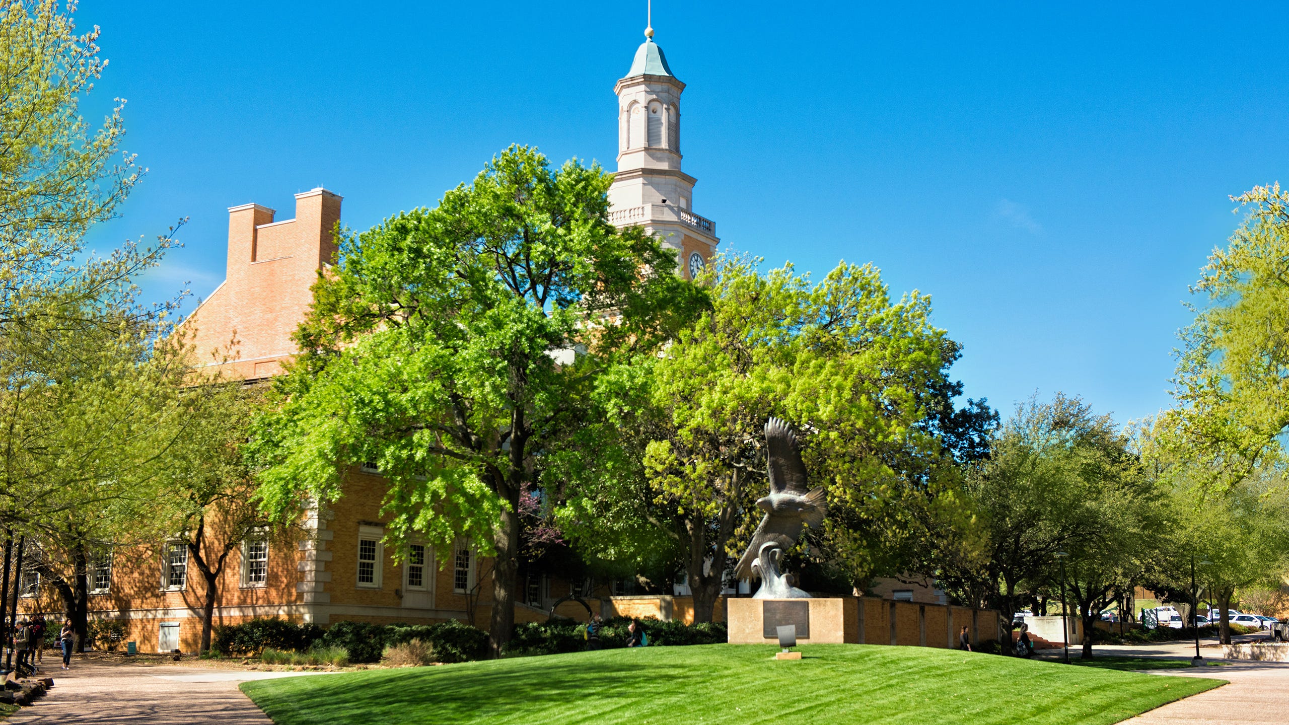 UNT President condemns behavior of students in political protest