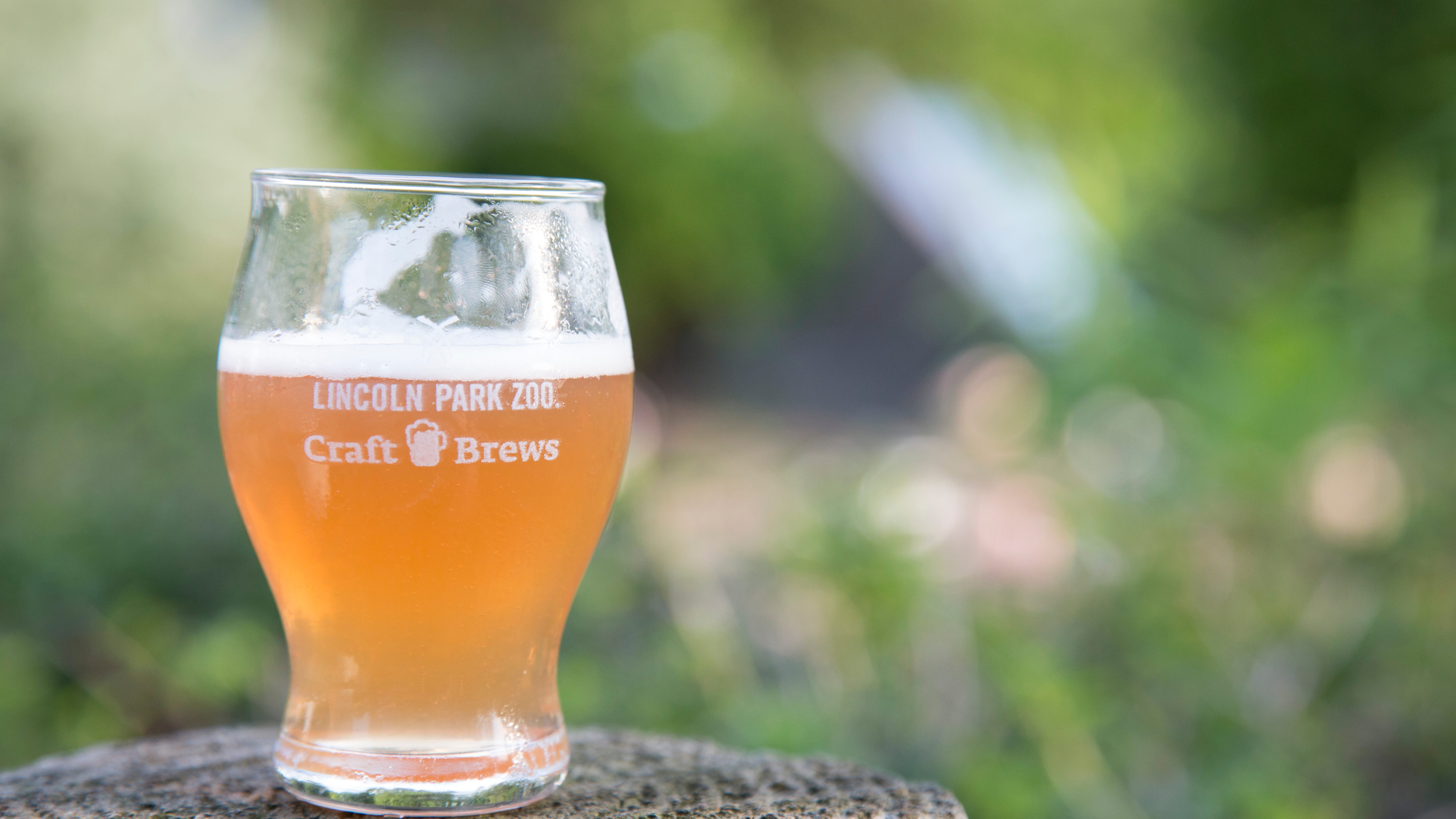 Craft Brews returns to Lincoln Park Zoo this weekend