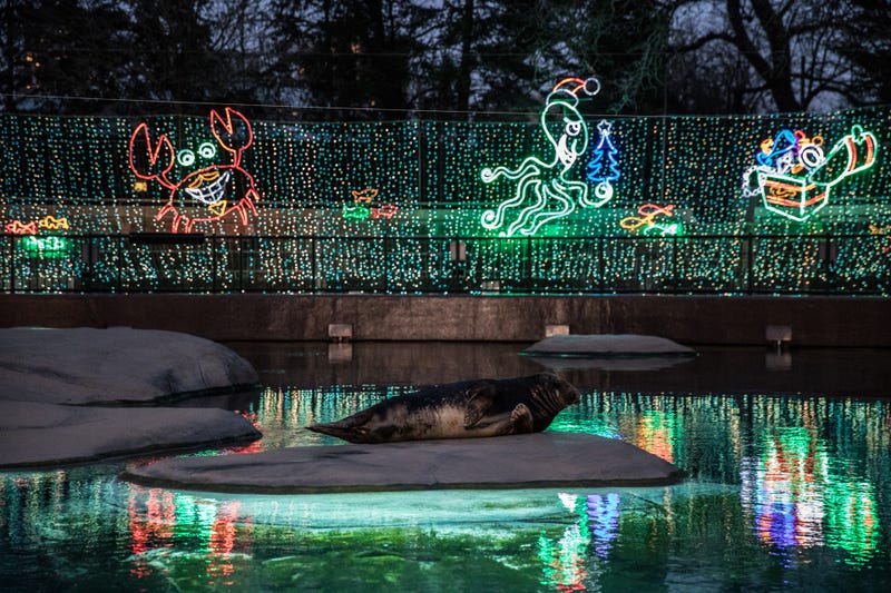Lincoln Park ZooLights