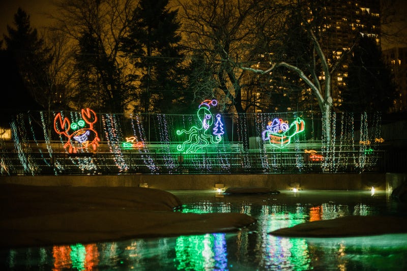 Lincoln Park ZooLights