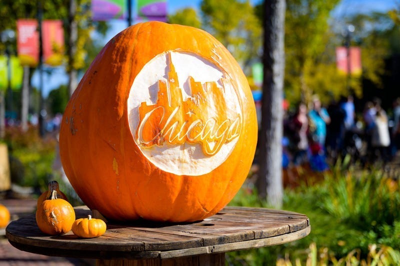 Fall Fest at Lincoln Park Zoo