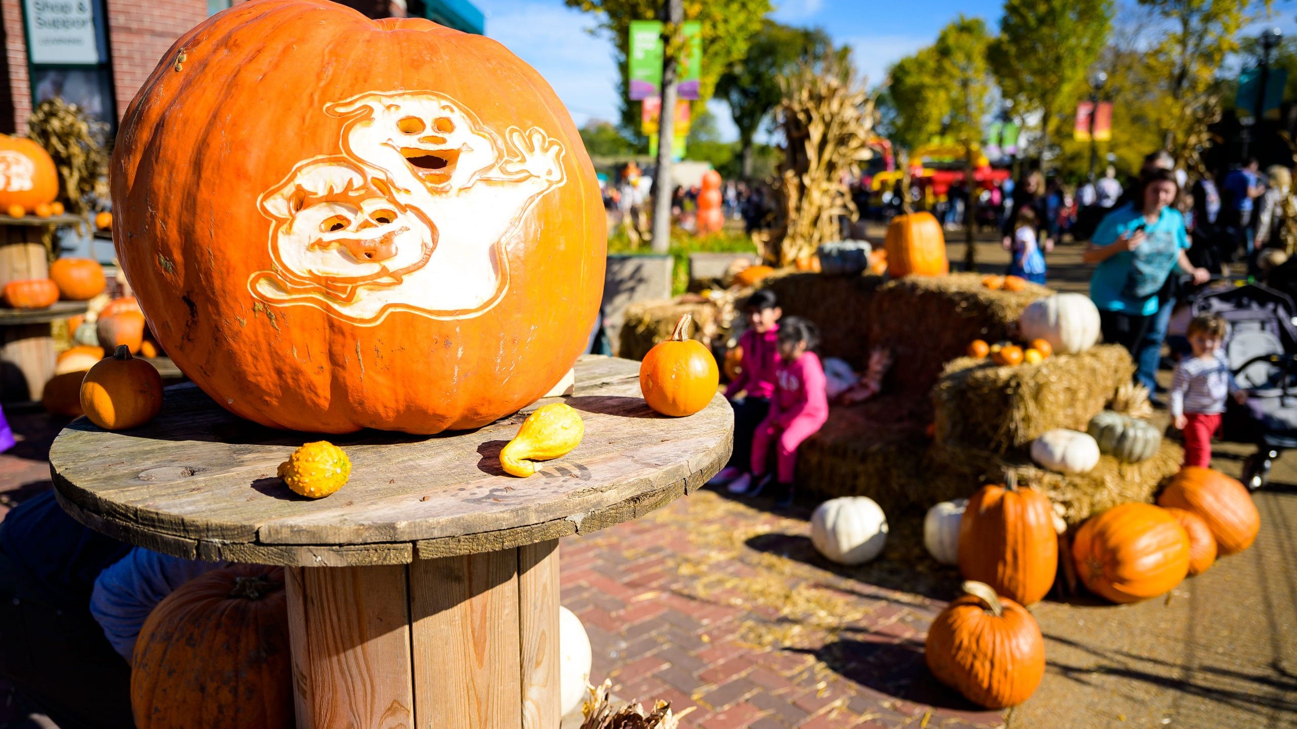 Fall Fest returns to Lincoln Park Zoo