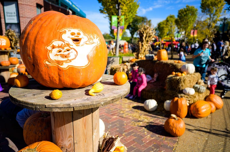 Starting Friday, Oct. 8, Lincoln Park Zoo guests are invited to partake in harvest fun, from picking the perfect pumpkin to devouring sweet treats and festive drinks.
