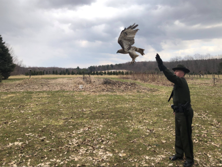 "Lieutenant David J. McShane’s exemplary work to protect our natural resources and ensure public safety benefitted all New Yorkers," Gov. Hochul said in a statement