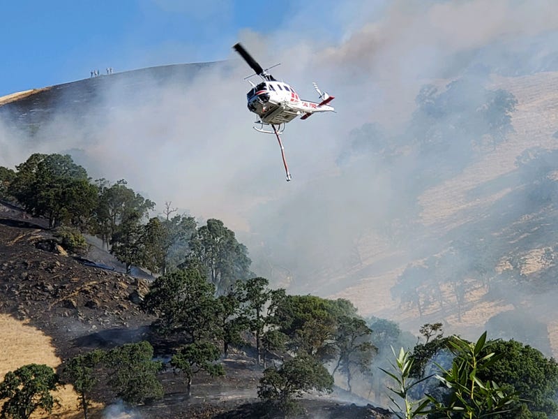 Authorities reported that nine brush fires in Clayton started early on Aug. 3, 2019.