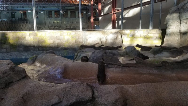 St. Louis Aquarium
