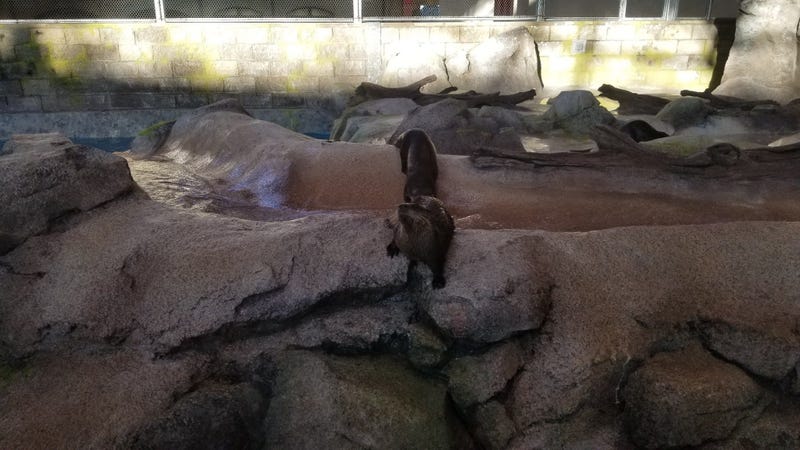 St. Louis Aquarium