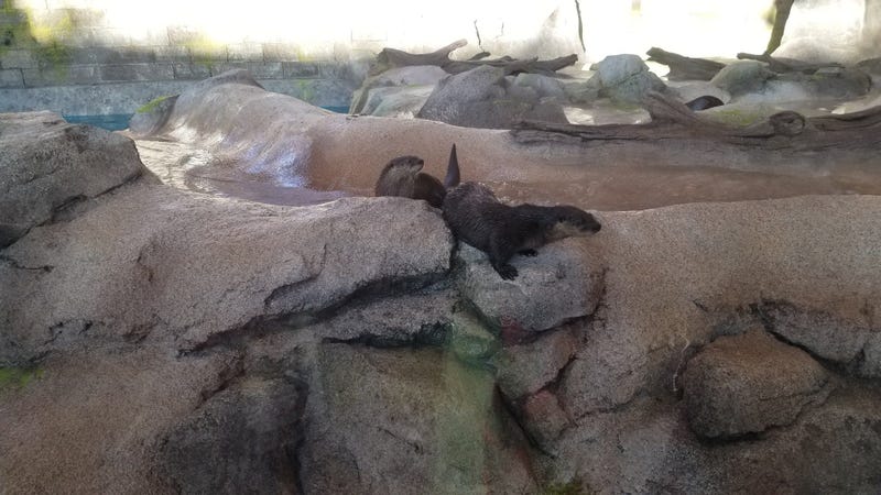 St. Louis Aquarium