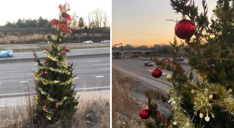 I-270 tree