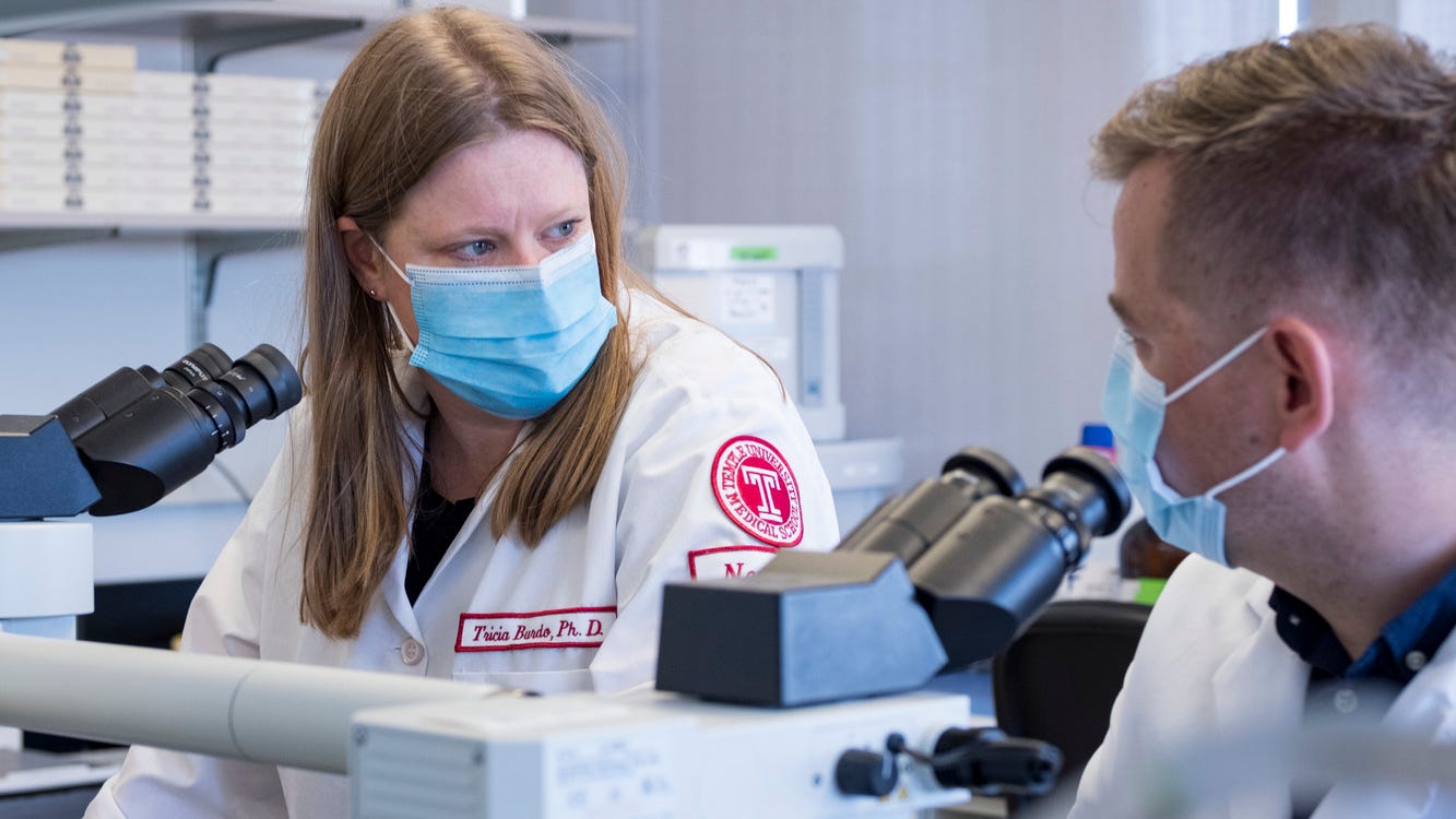 Temple researchers using gene-editing therapy to find a cure for HIV