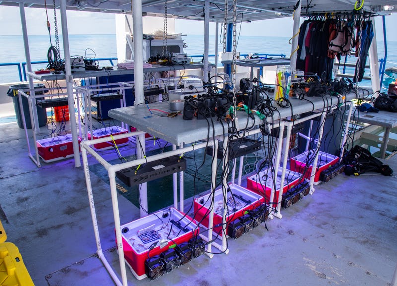 Dr. Cunning traveled to Florida for two research expeditions on a Shedd research vessel to collect coral fragments. He created and used machines called "Coral Bleaching Automated Stress Systems" - portable, experimental tanks custom-made at Shedd using Coleman party coolers with aquarium chillers, heaters and controllers that precisely manipulate the seawater temperature in each system.