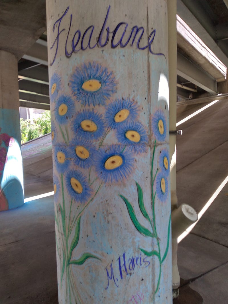 chalk