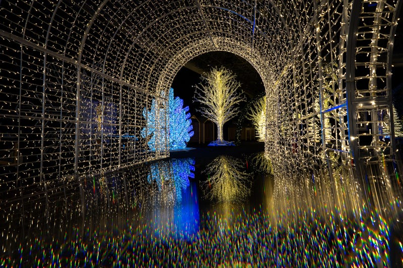 Light Up the Lake