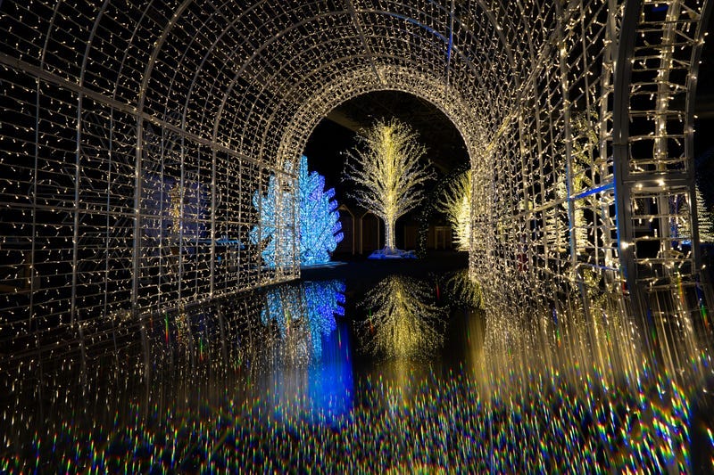 Light Up the Lake
