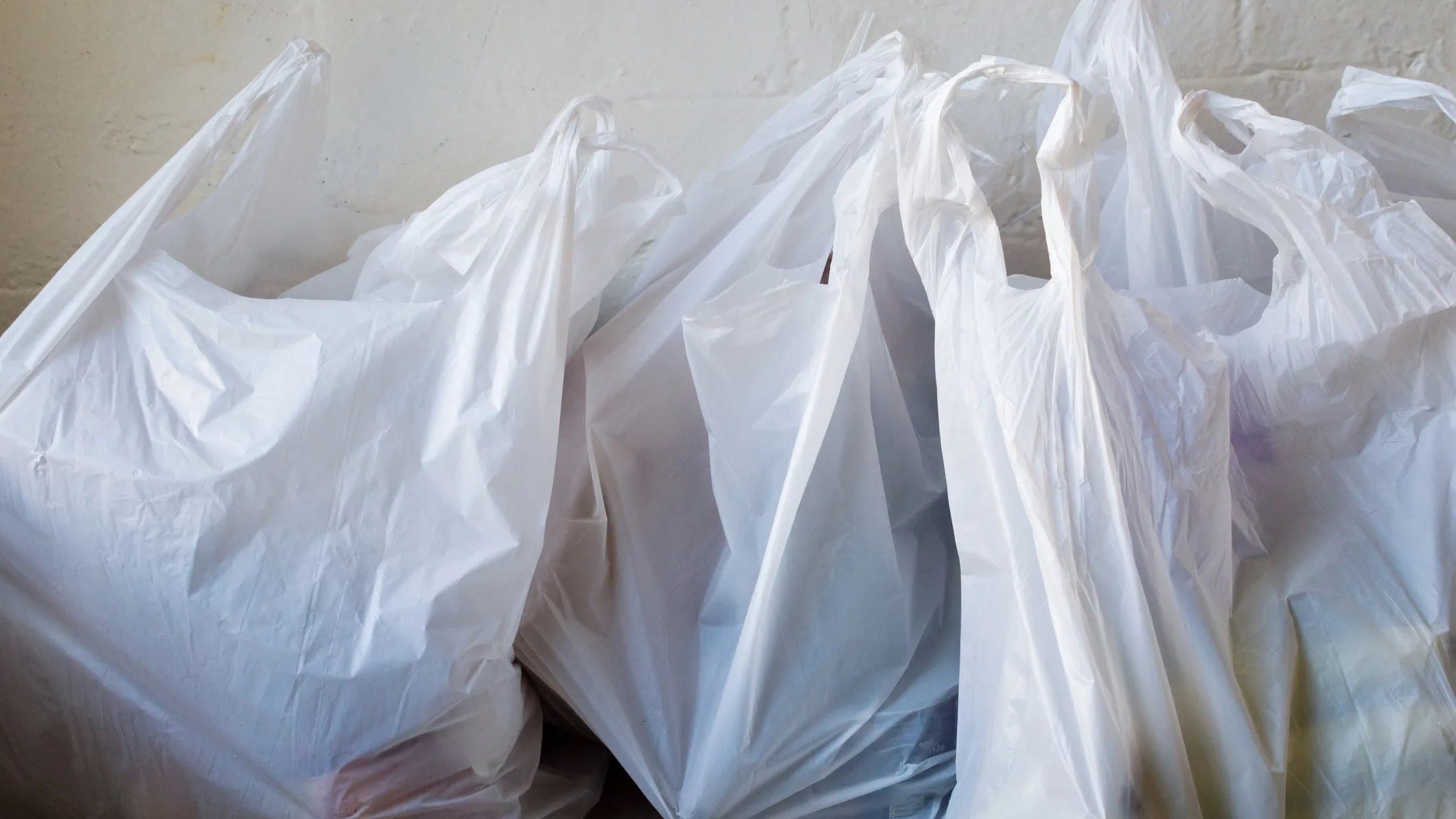 What to know about New Jersey’s single-use plastic bag ban