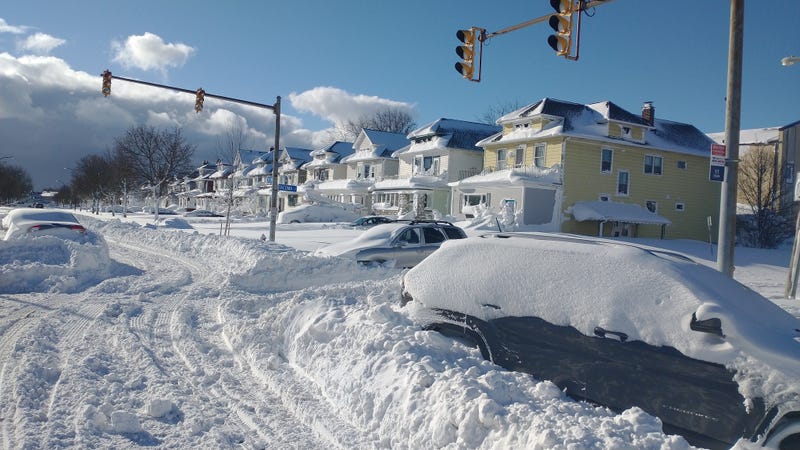 Buffalo Blizzard