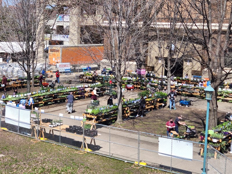 Plant Sale