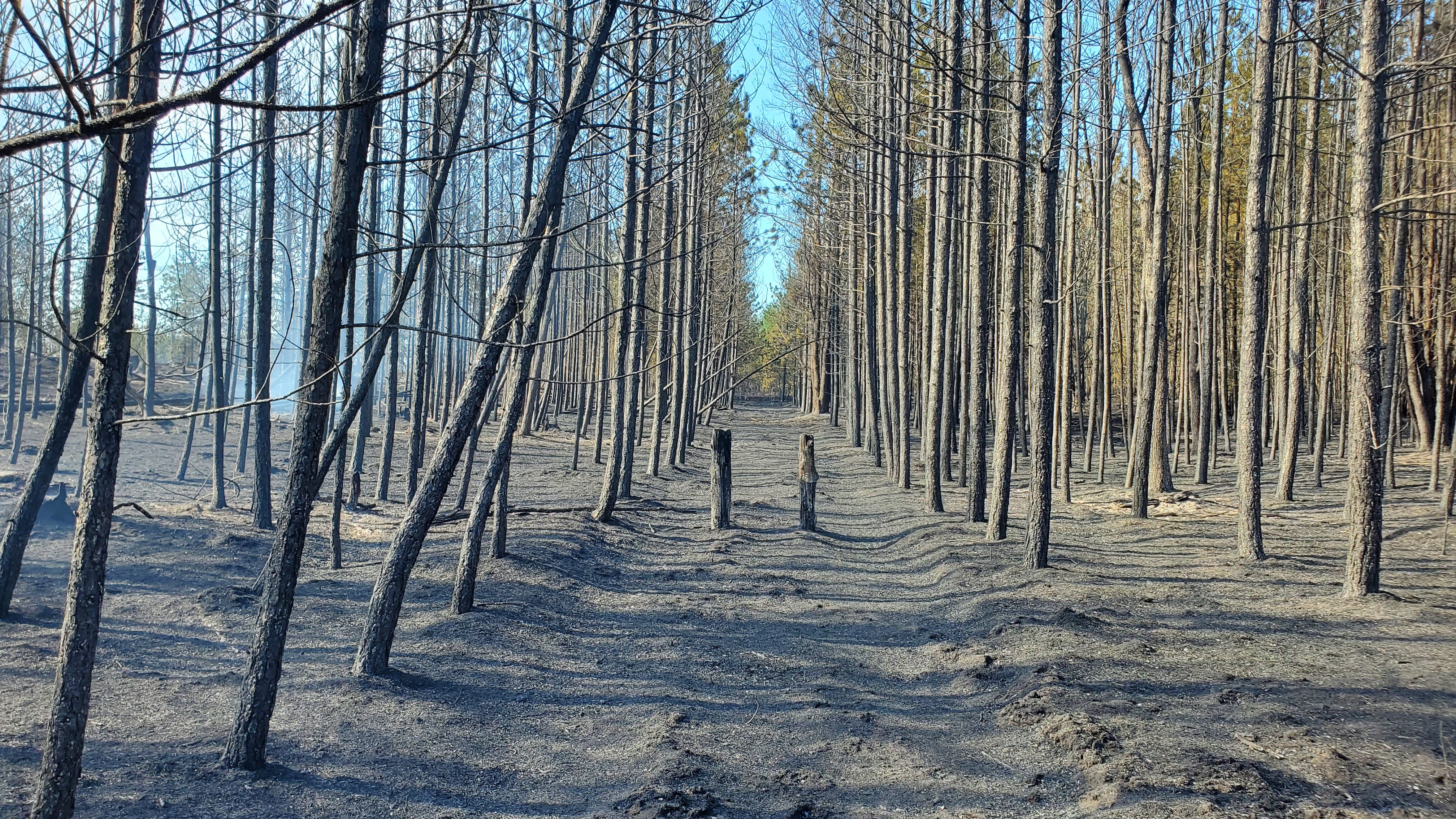 Northern Michigan wildfire 98% contained, DNR urges people to be cautious within area