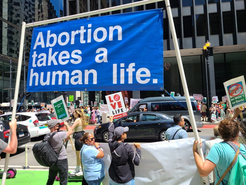 March for Life Chicago