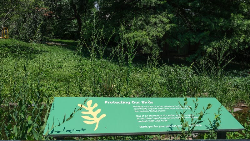 Workers at the Philadelphia Zoo are taking COVID-19 pandemic-like steps to keep birds safe.