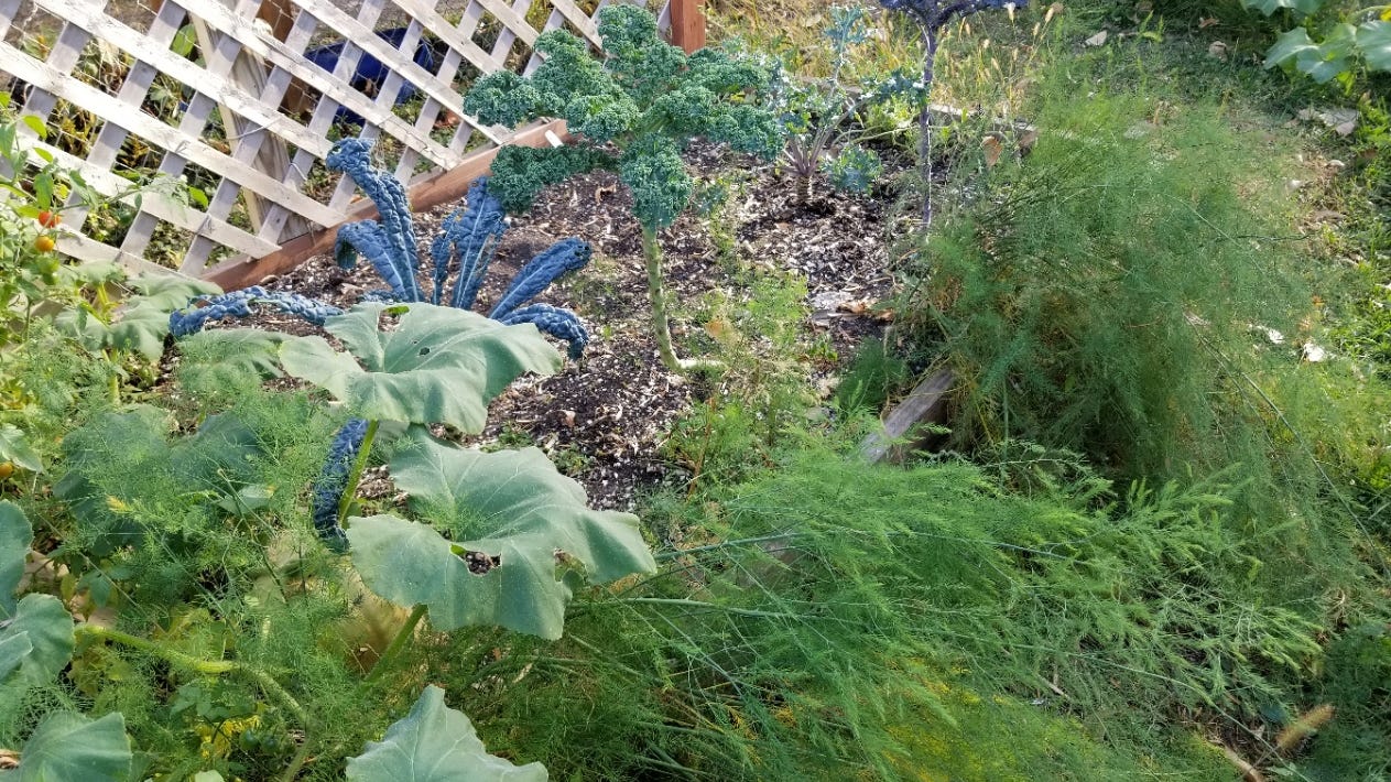 Garden Tips: How to prepare your outdoors spaces for the long Minnesota winter