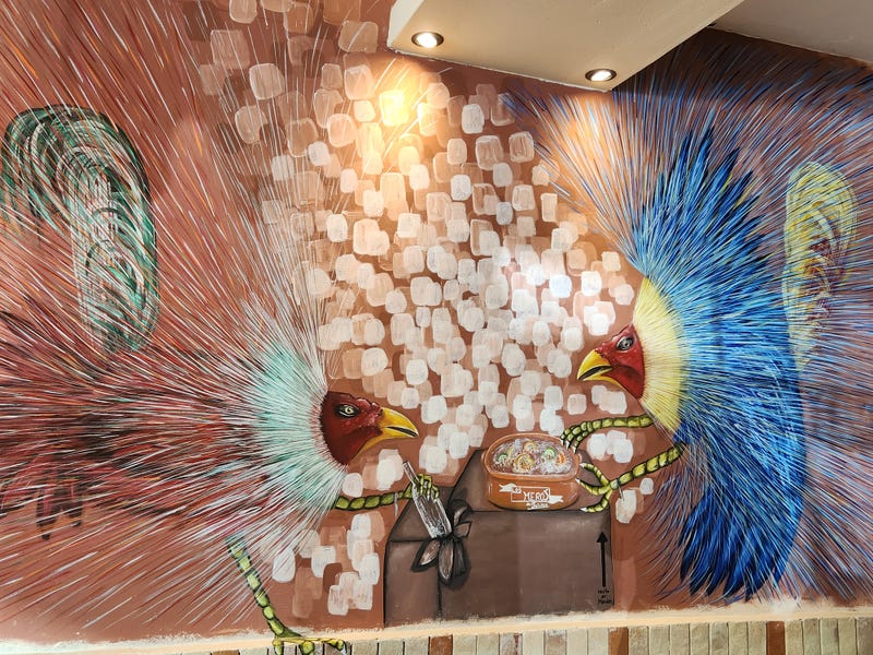 Exploring the Cancun Taco Tour